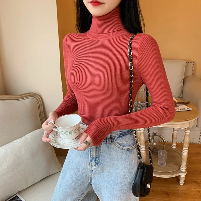Pull Nora — Maille Côtelée à Col Roulé